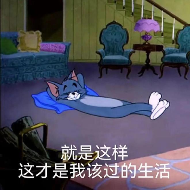 家里不舒服的小事日子真的会变爽!不朽情缘登录入口花几十块钱解决(图13) 家里不舒服的小事日子真的会变爽!不朽情缘登录入口花几十块钱解决(图13)