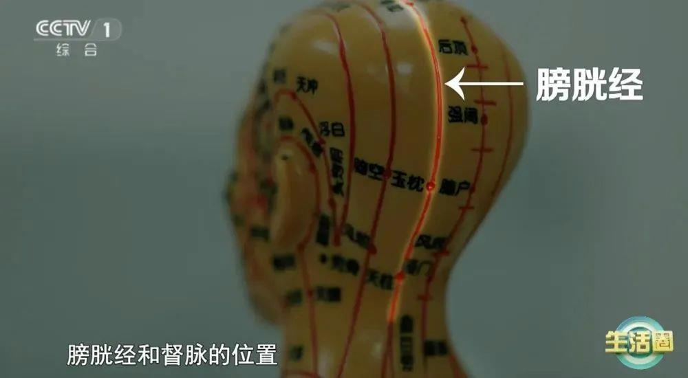 健康问题 护发与健康小贴士快收藏不朽情缘首页不同位置白发反映不同(图4) 健康问题 护发与健康小贴士快收藏不朽情缘首页不同位置白发反映不同(图4)